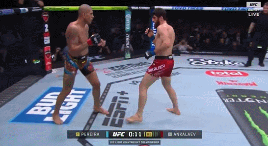 新王诞生!安卡拉耶夫五回合战胜佩雷拉,夺得UFC轻重量级冠军!