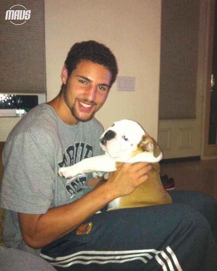 ?NBA最有名的小狗?13岁的克莱爱犬Rocco已接受安乐死